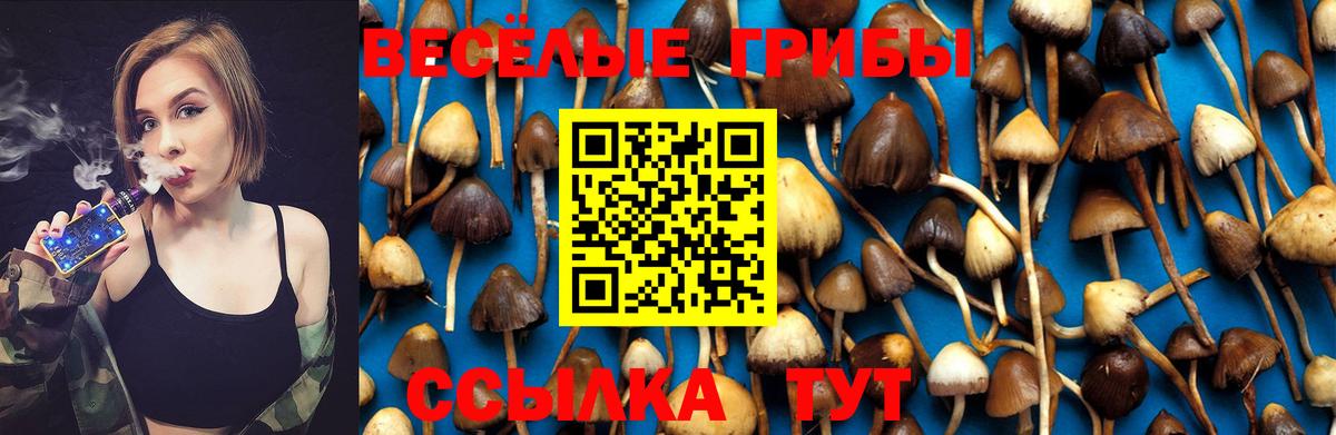 Галлюциногенные грибы MAGIC MUSHROOMS Отрадное
